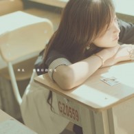 一肖一码免费,公开一